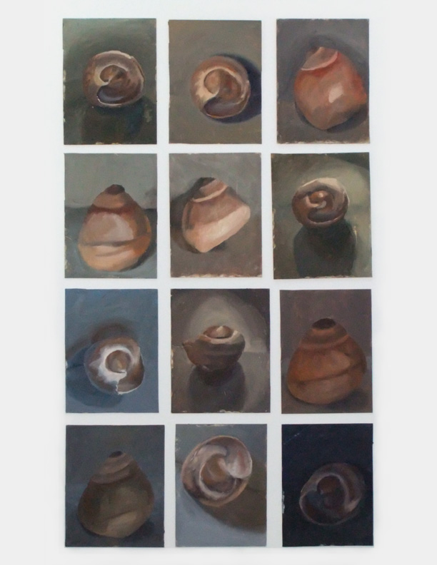 Shells